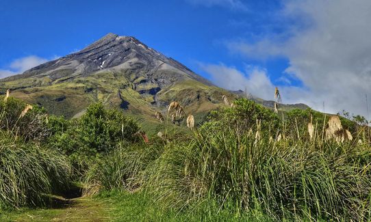 Kokowai Loop, Taranaki