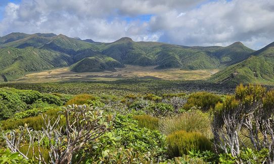 Kokowai Loop, Taranaki