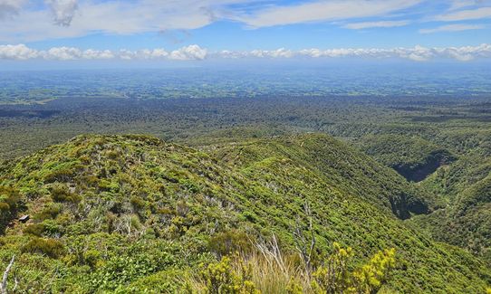 Kokowai Loop, Taranaki