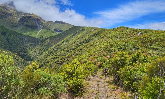 Kokowai Loop, Taranaki