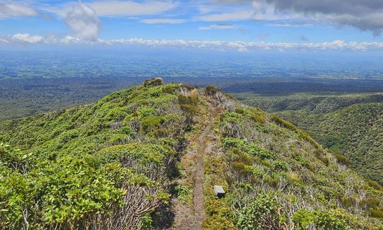 Kokowai Loop, Taranaki