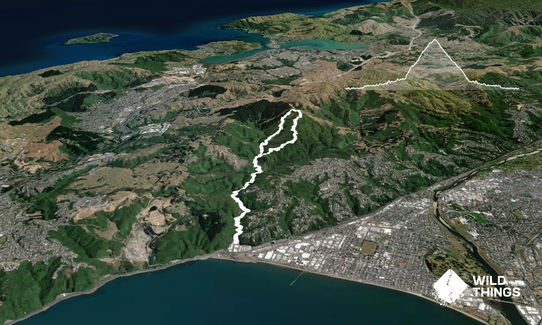 Korokoro Belmont trig loop via Bridleway, Wellington