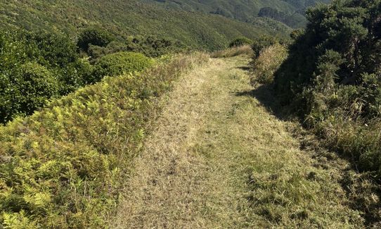 Korokoro Belmont trig loop via Bridleway, Wellington