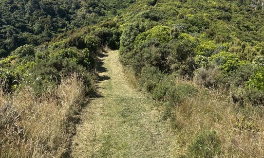 Korokoro Belmont trig loop via Bridleway, Wellington