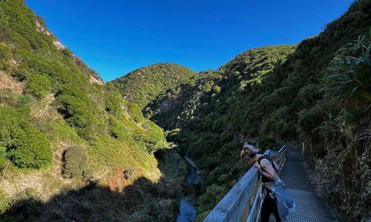 Korokoro Belmont trig loop via Bridleway, Wellington