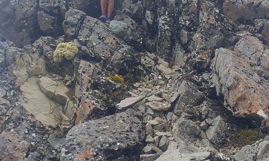 Lake Angelus Skyline Scramble, via Robert Ridge and Cascade Tracks, Tasman