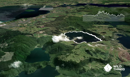 Lake Okareka Full Loop, Bay of Plenty