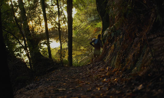 Lake Okareka Full Loop, Bay of Plenty