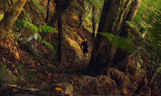 Lake Okareka Full Loop, Bay of Plenty