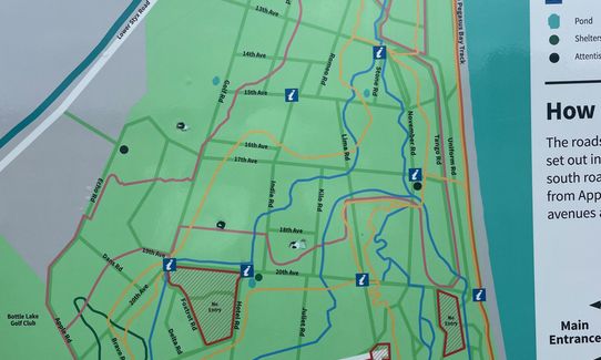 Landfill Lark, Canterbury