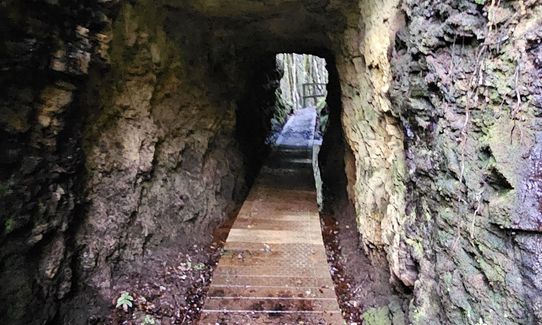 Lankeys Creek Loop, West Coast