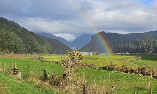 Lankeys Creek Loop, West Coast