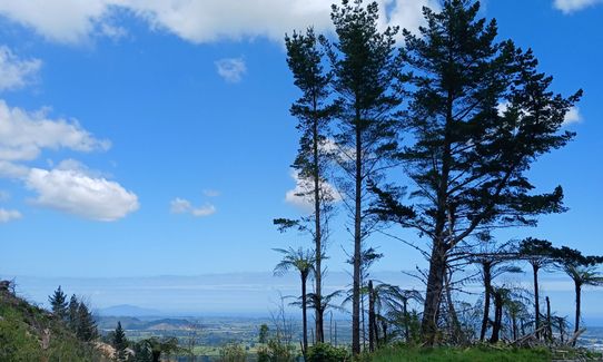 Levin Trig, Manawatu - Wanganui