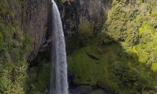 Lifting the Veil, Waikato