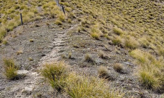 Lindis Pass Lookout & Double Peak, Canterbury