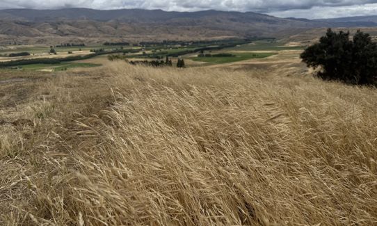 Lindis Peak Track, Otago