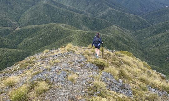 Lodestone Loop, Tasman