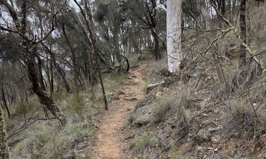 Loop the Mountains, Australian Capital Territory