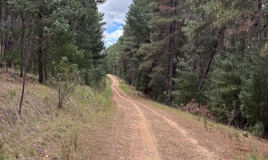 Loop the Mountains, Australian Capital Territory
