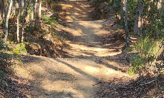 Loopin' Nerang, Queensland