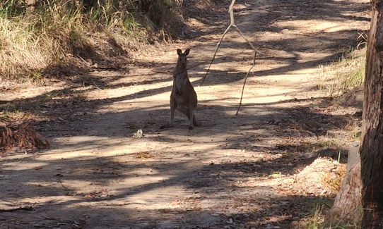 Loopin' Nerang, Queensland