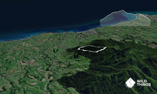 Looping Lucys, Taranaki