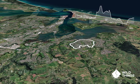 Loopy in Welcome Bay, Bay of Plenty