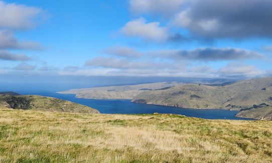 Lyttelton Dress Circle, Canterbury