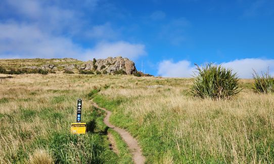 Lyttelton Dress Circle, Canterbury