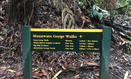Manawatu Gorge - One way, Manawatu - Wanganui