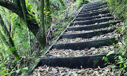 Manawatu Gorge Track, Manawatu - Wanganui