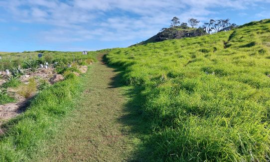 Mangere Mountain Crater loop, Auckland