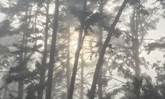 Maraetai & Mangakino , Waikato