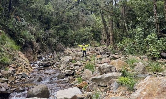 Maratoto To Golden Cross, Waikato
