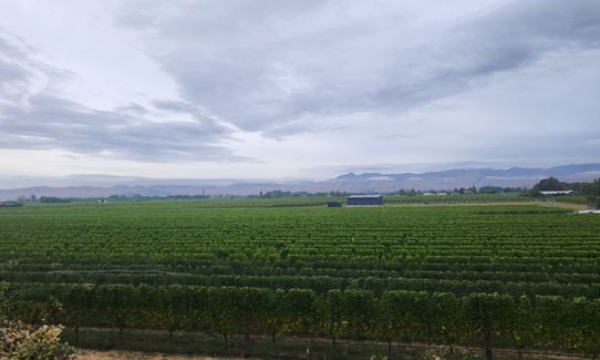 Marlborough Wine Trail, Marlborough