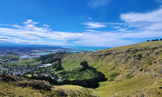 Mary Had a Little Lamb, Canterbury