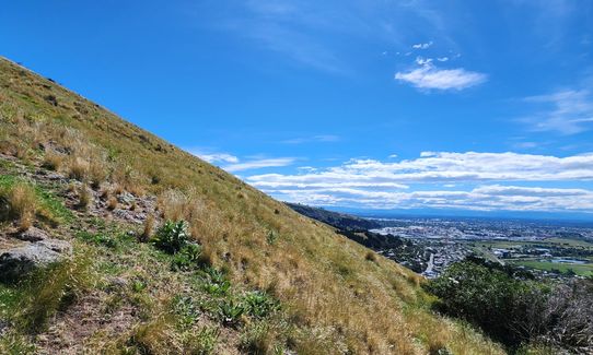 Mary Had a Little Lamb, Canterbury