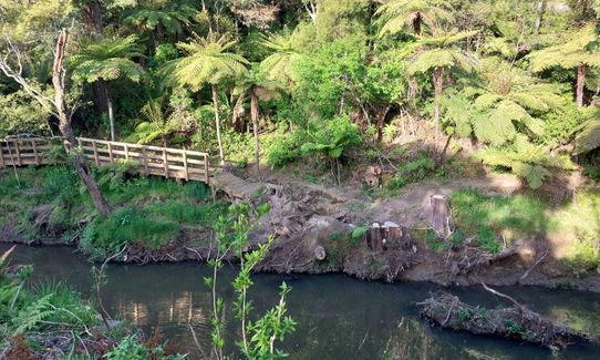 Massey Uni Totara Forest River Loop, Auckland