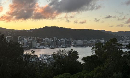 Matairangi Loop, Wellington