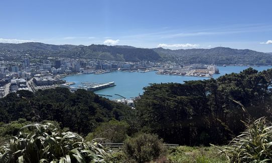 Matairangi Loop, Wellington