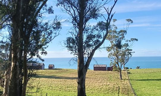 Matanaka Meander, Otago