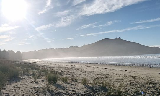 Matanaka Meander, Otago