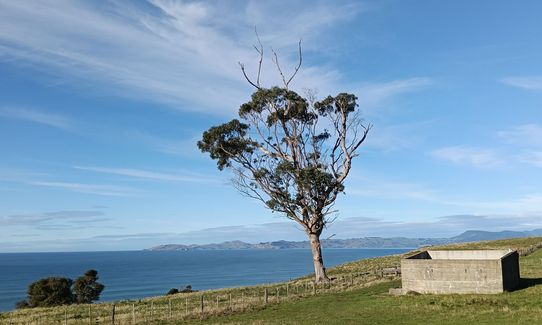 Matanaka Meander, Otago