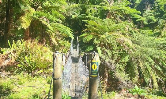 Matemateāonga Frolic , Taranaki