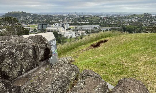 Maungakiekie Loop with a Cherry on Top, Auckland