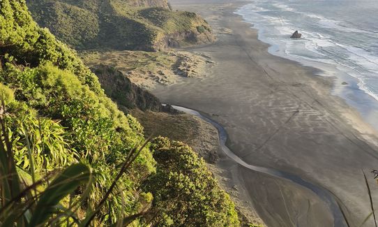 Mercer Bay Magic, Auckland