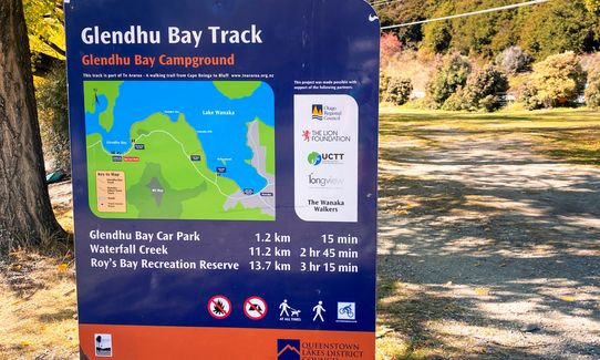 Millennium Track: Glendhu Bay to Wānaka Tree, Otago