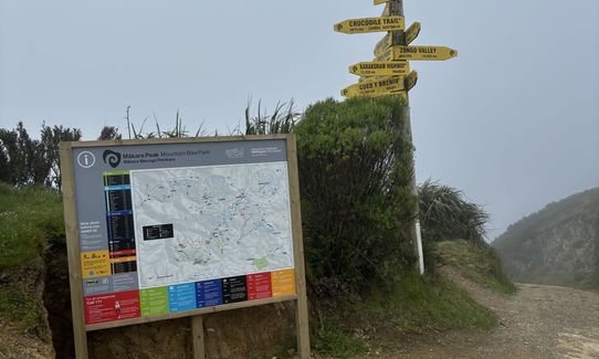 Mini Makara Mission, Wellington