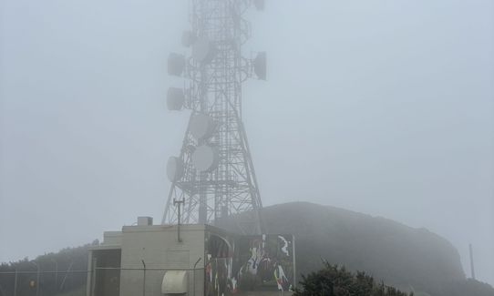 Mini Makara Mission, Wellington