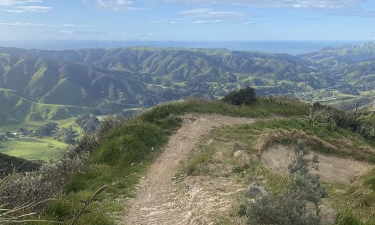 Mini Makara Mission, Wellington